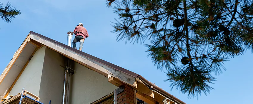 Birds Removal Contractors from Chimney in Merrick, NY